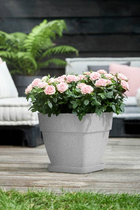 loft urban saucer square 22cm living concrete